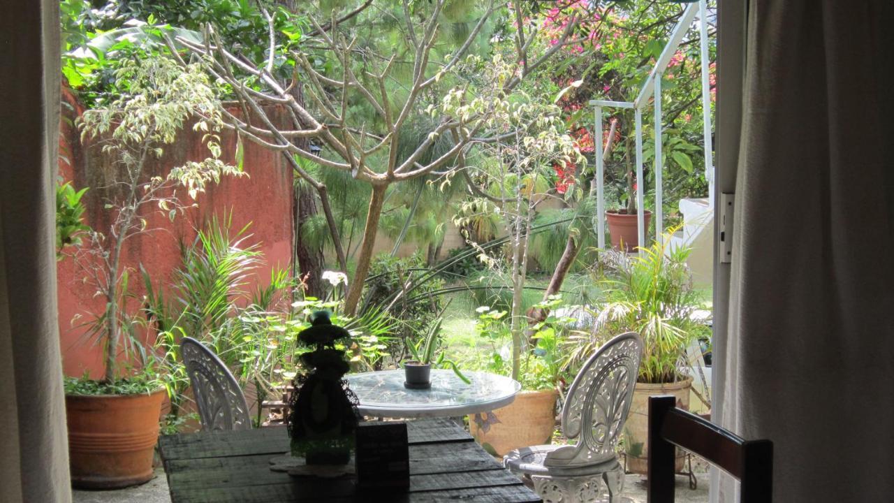 Hotel Villa Oaxaca Dış mekan fotoğraf